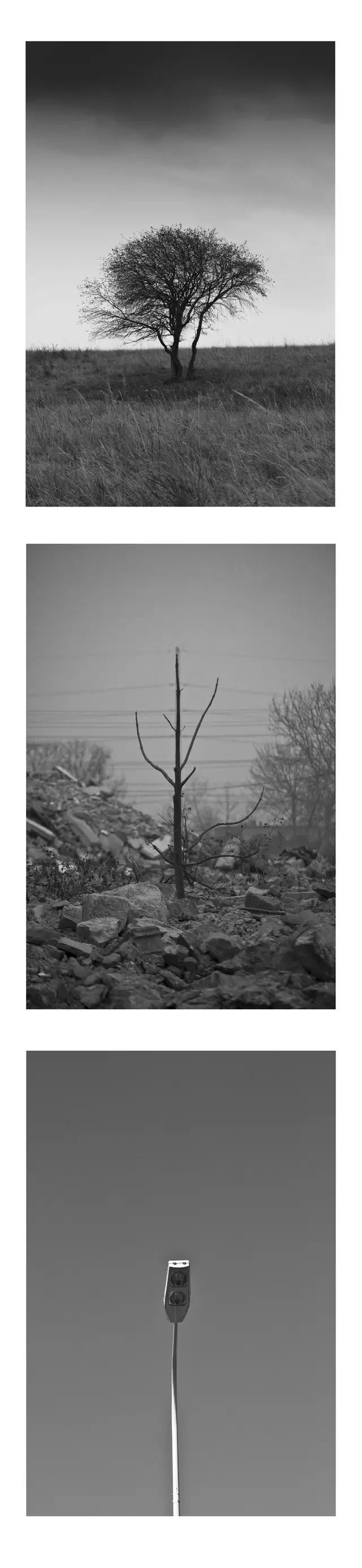 中摄协发布：雷山县苗年暨第十届中国原生态国际摄影大展欢迎您！