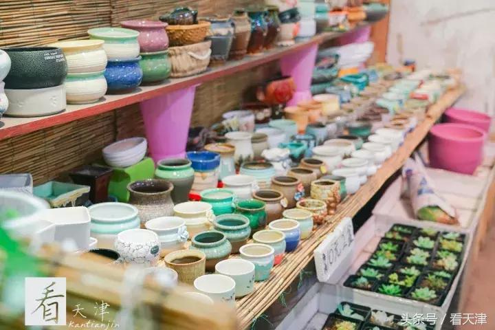 天津宝鸡道花鸟鱼虫市场地铁,宝鸡道花鸟鱼虫市场天津