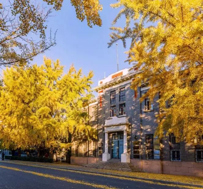 京城赏秋打卡胜地,京城赏荷最佳路线图