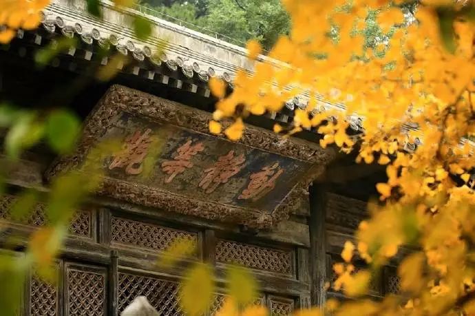 京城赏荷地图高清版,京城赏玉兰最全地图