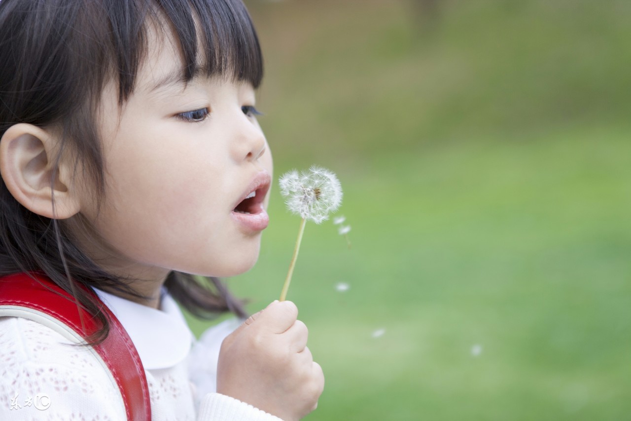 生二胎男孩的秘方,想要二胎的科学方法