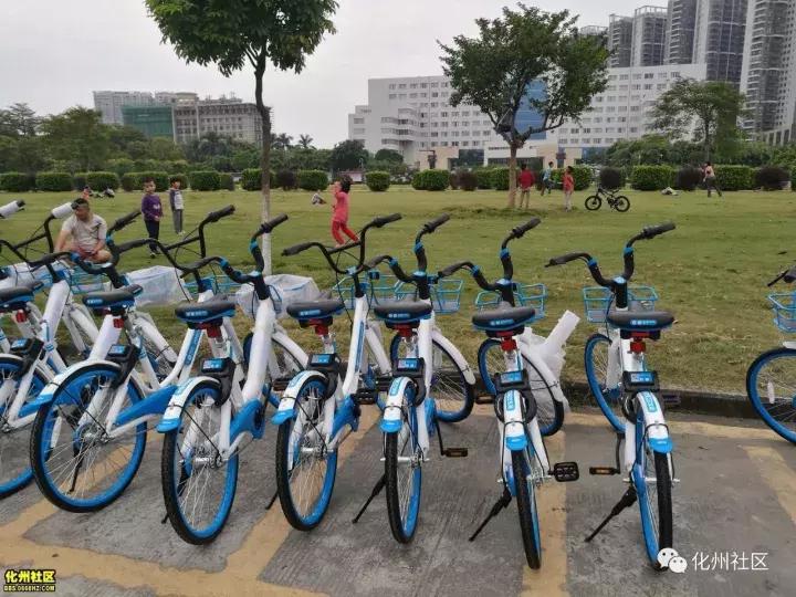 化州现在还有共享电单车吗,化州的共享单车在哪里