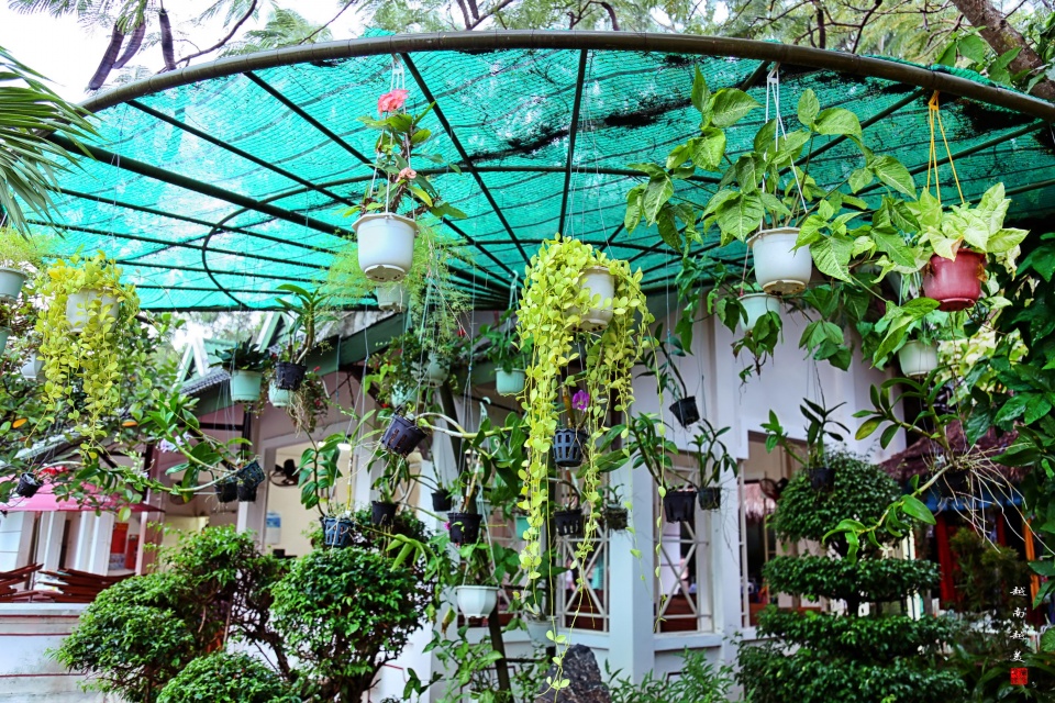 越南芽庄泥浆浴在哪个岛上,游越南芽庄享受泥浆浴