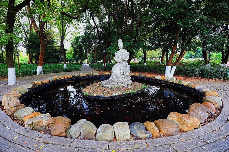 闽中明珠尤溪，八山一水一分田