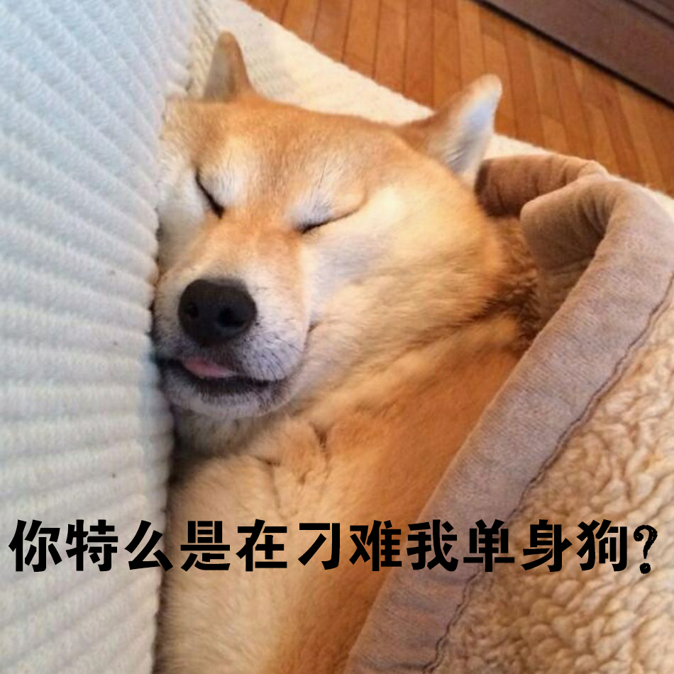 妹子参加线下比赛惨遭16:0吊打!玩CSGO的难道都找不到女朋友?