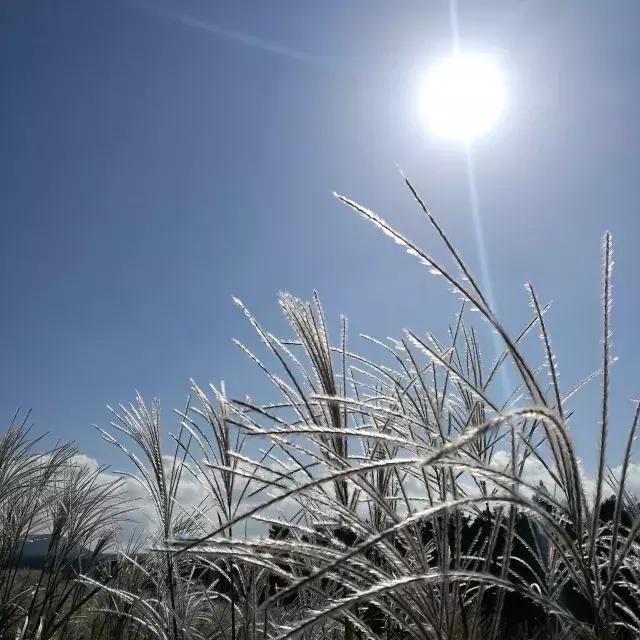 Trip丨如何在济州岛练就“济州瘫”（下部）