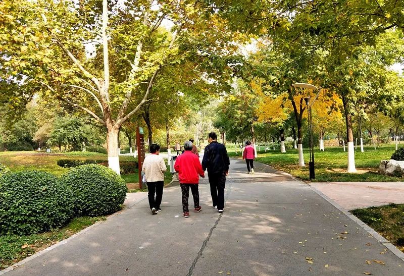 手机摄影作品也可以美不胜收,秋天手机摄影作品欣赏