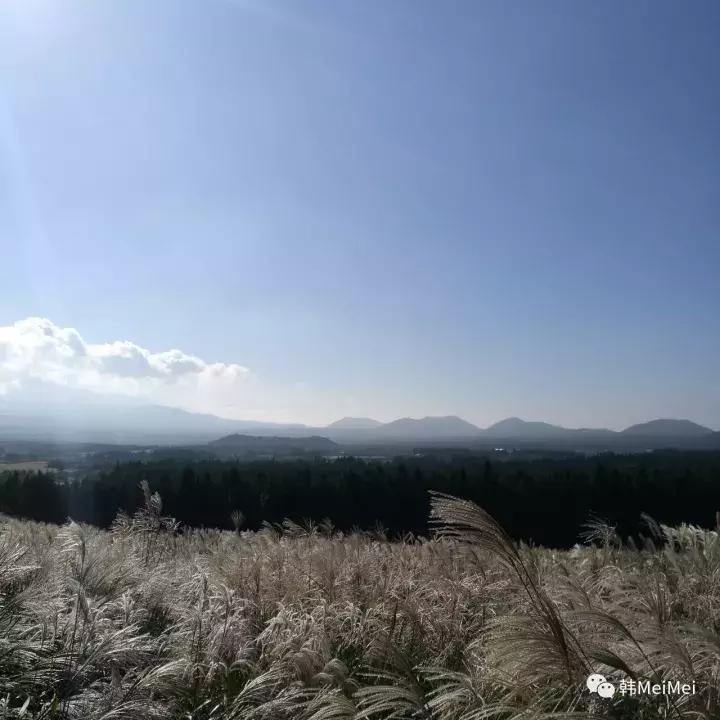 Trip丨如何在济州岛练就“济州瘫”（下部）