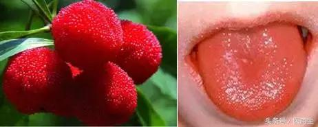 舌尖上的医疗,舌尖上的医疗篇