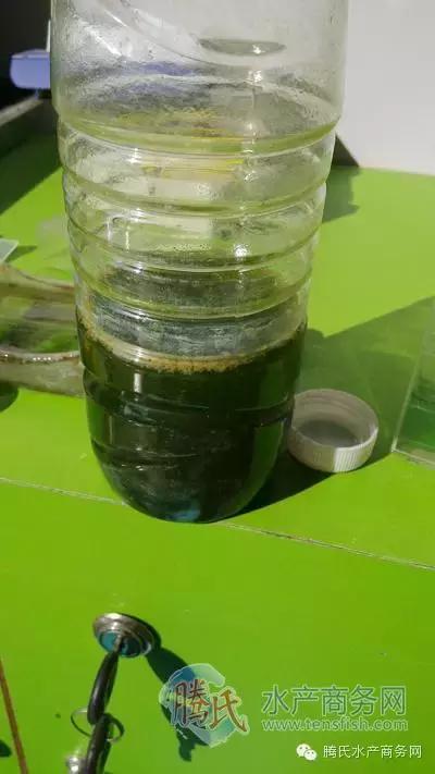 齐同俊医生年度总结,渔医齐同俊简介