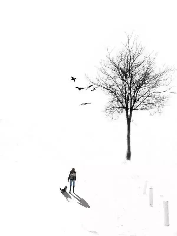 手机拍照修图惊艳瞬间,手机拍摄的好看照片