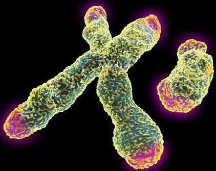 钟丽缇为生儿子狂喝碱水，这真的有用吗？