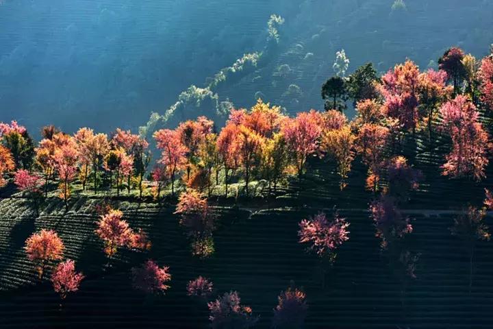 大理没有商业化的旅游景点,大理没被发现的景点