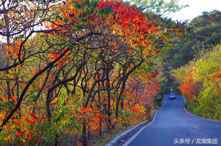 大连安静的风景区有哪些,大连治愈系胜地