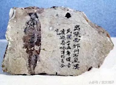 奔走于国共之间的神秘牧师董健吾