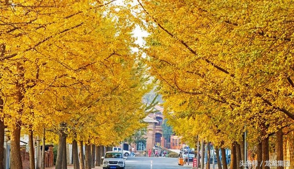 大连安静的风景区有哪些,大连治愈系胜地