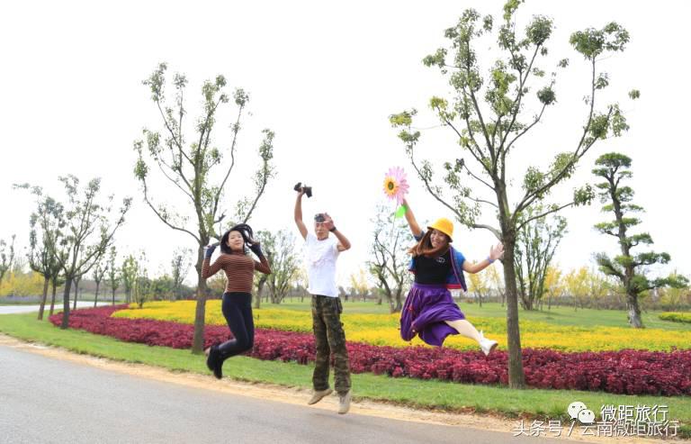 春节免费开放弥勒太平湖森林公园,弥勒太平湖森林公园6月去有花吗