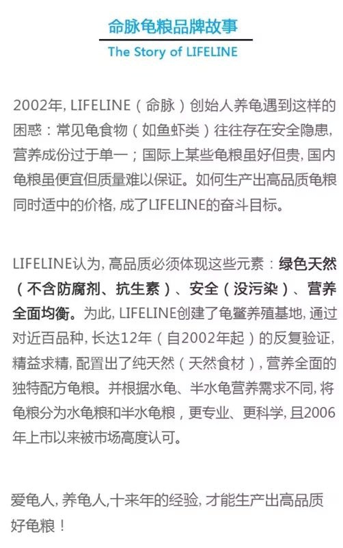 乌龟蛋在自然条件下怎么孵化,养一只乌龟下蛋了能孵化出来吗