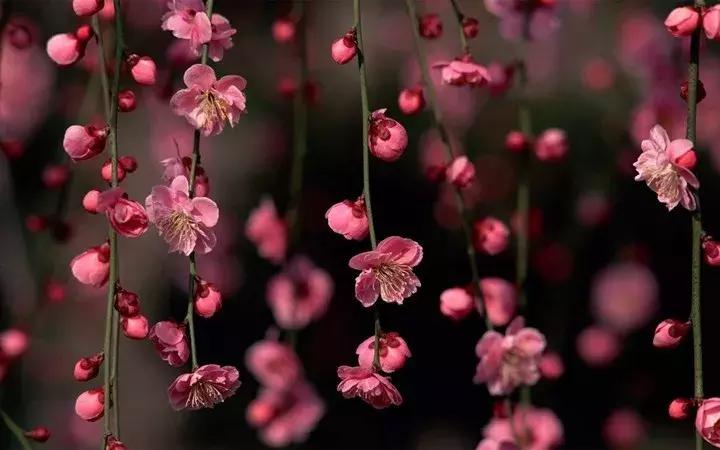 小说谍战深海第三部,小说深水鱼雷