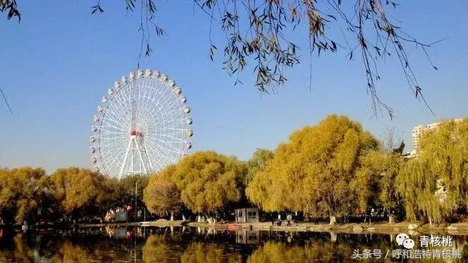 大家好这是我的家英文,大家好这是我的家图片卡通