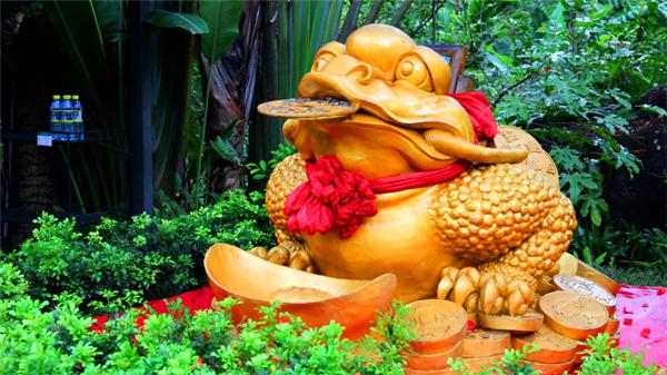 偶遇阳光、海滩在三亚