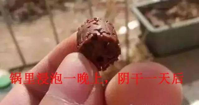 用酱油给金刚菩提上色好吗,菩提金刚籽手串如何变红上色快