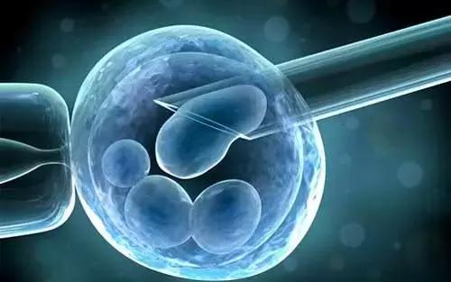 48岁钟丽缇为备孕吃药,钟丽缇回应备孕经历