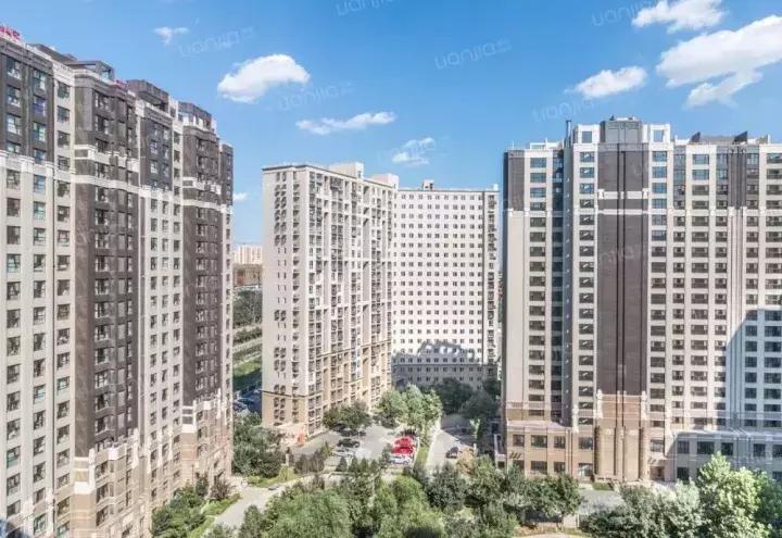 为了逃离雾霾,我在公园旁边买了房子(下)