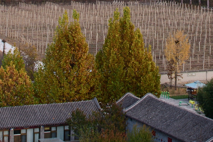 尼康d850可以碾压同价格的微单吗,尼康d850与尼康d5连拍对比测评