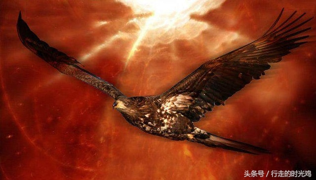 鲲鹏是一种什么动物,鲲鹏是什么神兽