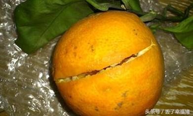 水果烂了一小块切掉之后还能吃吗,水果烂了一小块切了之后还能吃吗