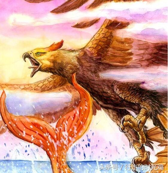鲲鹏是一种什么动物,鲲鹏是什么神兽