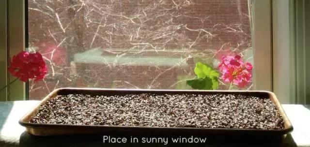 平价乳胶枕怎么选购好用,乳胶枕好还是网红格子枕好