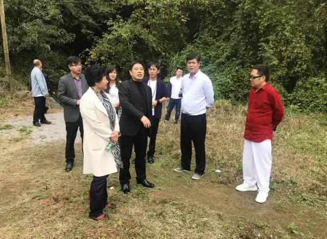 影者无疆完整版,影者无疆