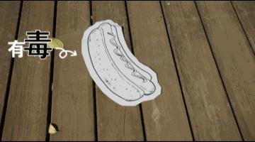 测一测你家狗能活多久!