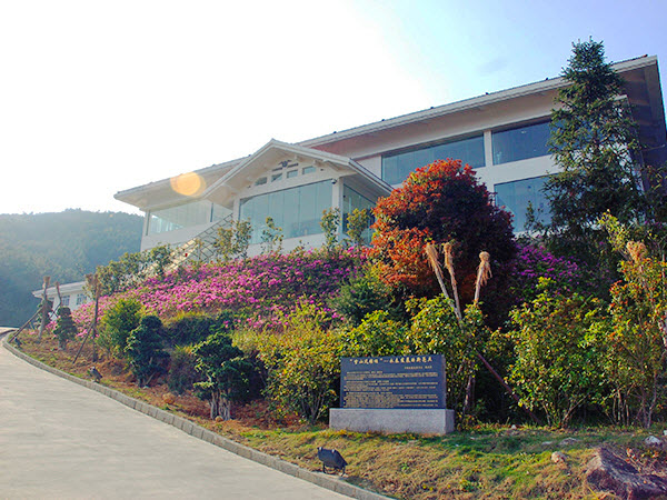 泉州永春北溪文苑旅游风景区游记,永春旅游冬季景点介绍大全