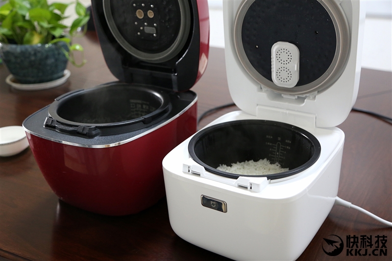 小米电饭煲价格那么多怎么选,小米电饭煲199评测