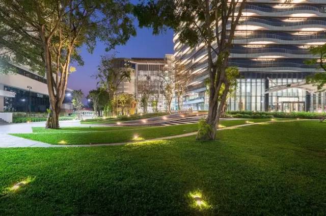 观赏性最好的草坪,大型的景观草坪