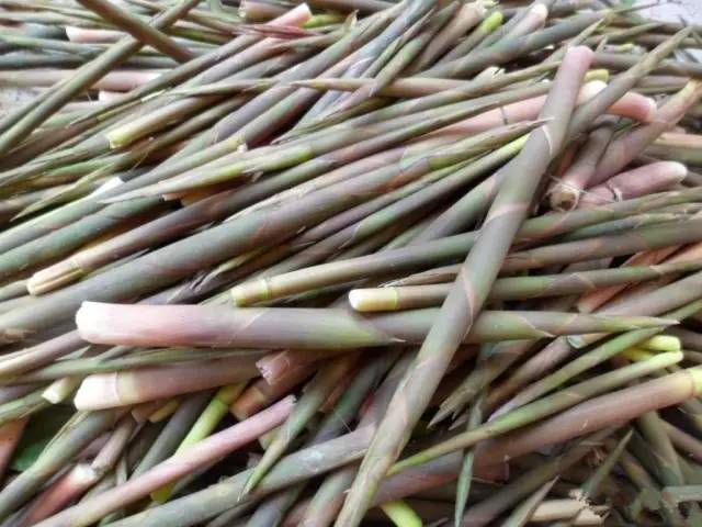 开春挖野菜教你轻松识别18种野菜,您知道春季最养肝护肝的野菜吗