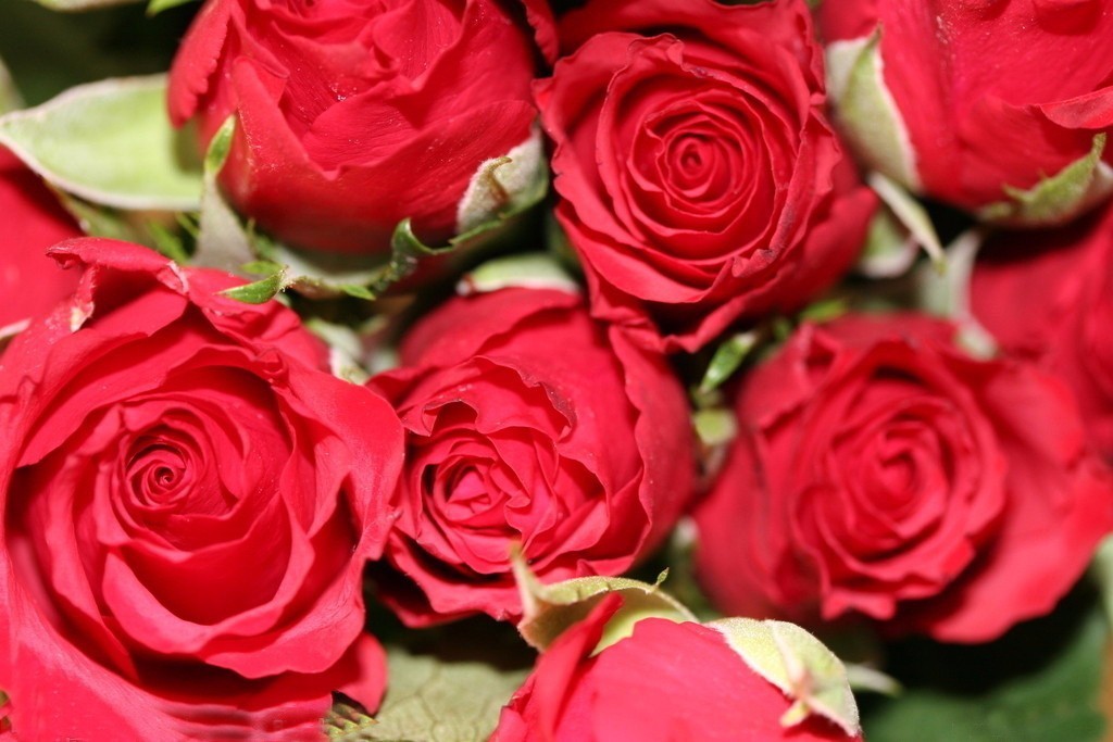 商业|她第一个给成都人带来精油和香氛,大家叫她“香香公主”