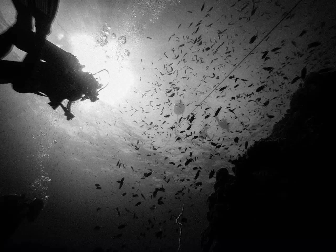 潜水零基础入门教程 (10个简单又可能被忽略的潜水技巧)