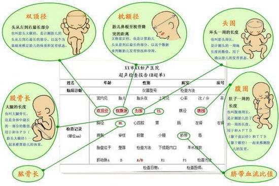 孕晚期b超胎儿发育对照表,胎儿发育超声检查正常值