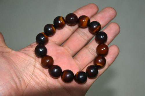 你认识无患子吗？你知道无患子有什么秘密吗？