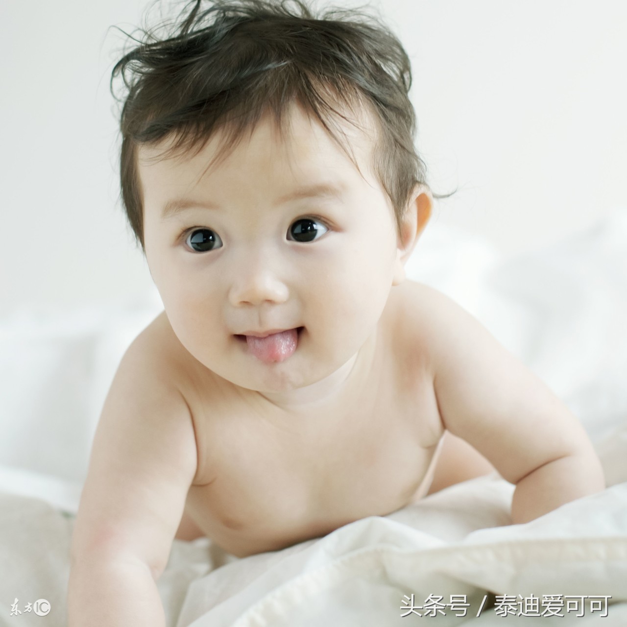 试管婴儿移植要躺两周？所有移植经验都在这里！