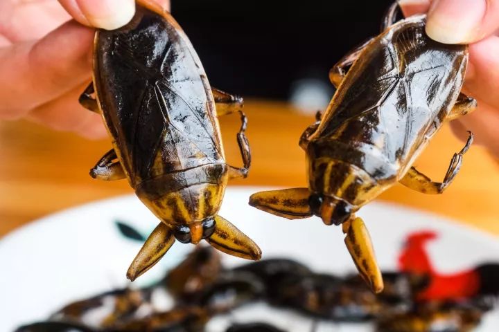 番禺区钟村南站,番禺钟村站