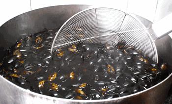 番禺区钟村南站,番禺钟村站