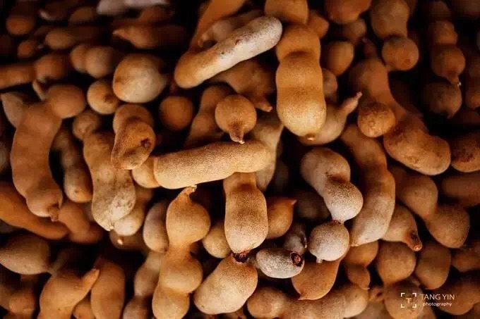 在泰国吃正宗的泰国美食,泰国最好吃的泰食