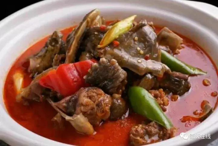 德庆鳄鱼龟,30万在深山养鳄鱼龟