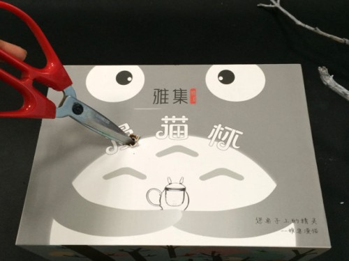 教你用旧盒子和干树枝制作盆景首饰架