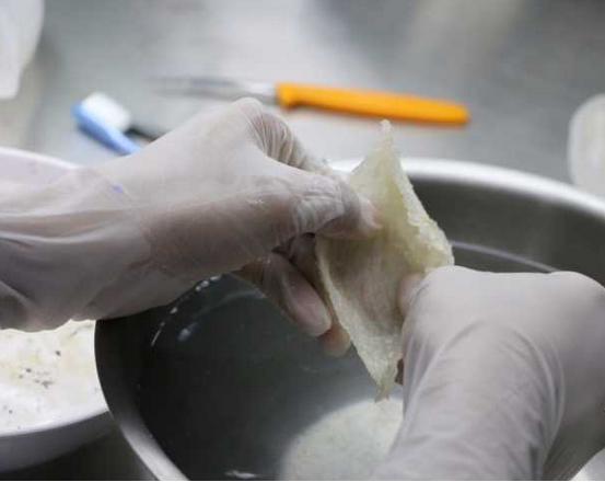 泰国燕窝跟印尼燕窝区别,泰国燕窝比中国便宜